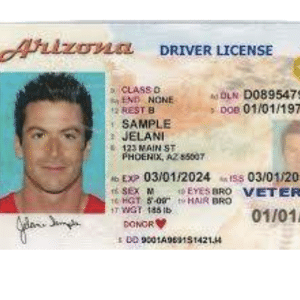 Arizona Driver's License and ID Card